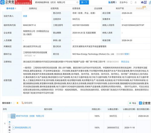 蔚來武漢布局新篇章 成立新能源科技公司，深化AI與軟件開發